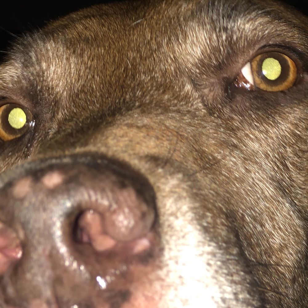 Meet your Posher, Valerya